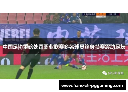 中国足协重磅处罚职业联赛多名球员终身禁赛震动足坛 中国足协重磅处罚职业联赛多名球员终身禁赛震动足坛